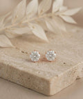 0.5 Carat Round Lab Grown Diamond Stud Earrings